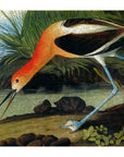 American Avocet Wooden Puzzle
