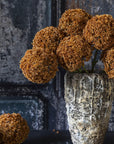 Umber Allium Stem