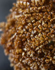 Umber Allium Stem