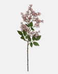 Japanese Cherry Blossom Stem