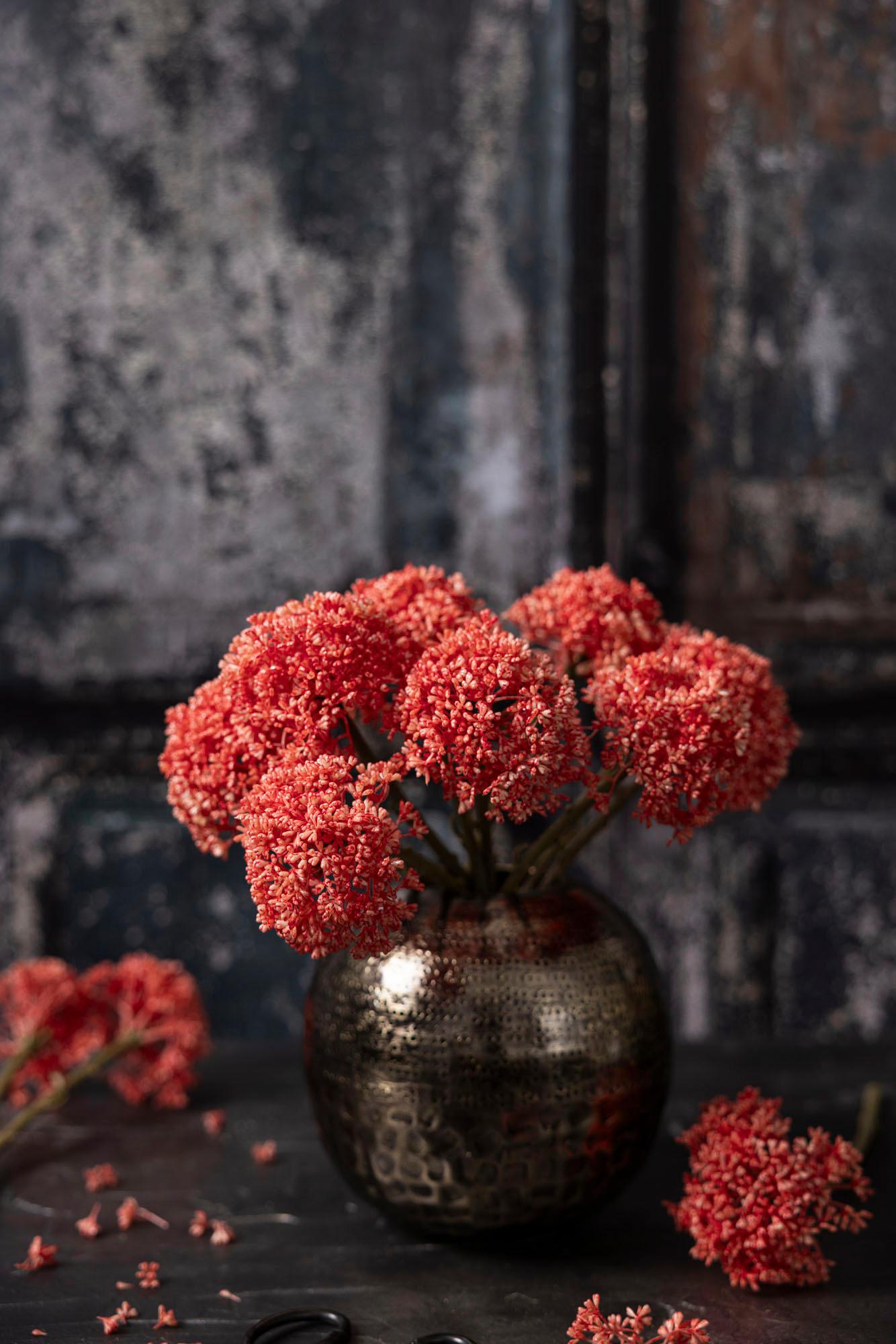 Coral Sedum Stem