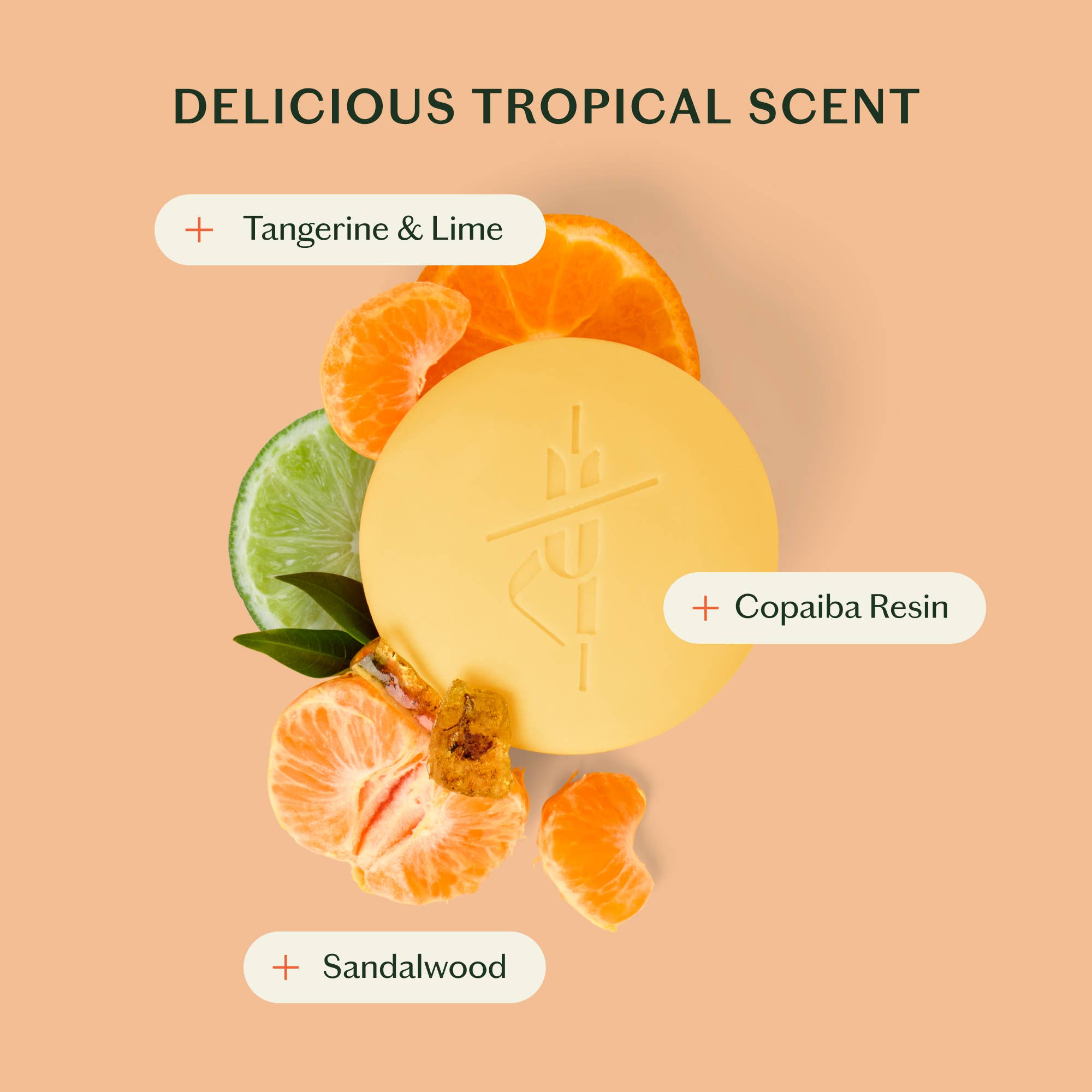 The Sun Stone | After Sun Balm &amp; Lotion Bar
