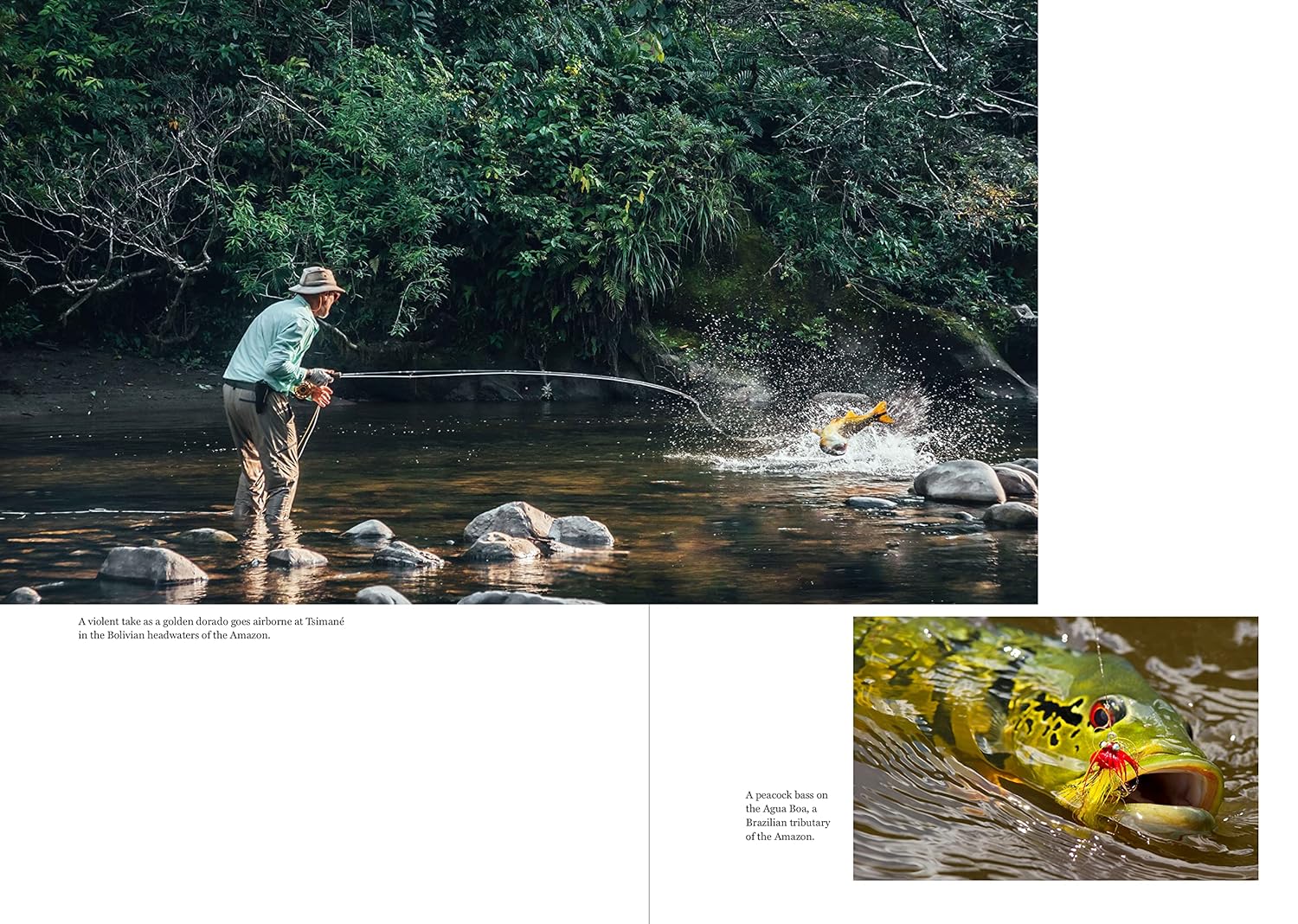 The Catch of a Lifetime: Moments in Flyfishing Glory