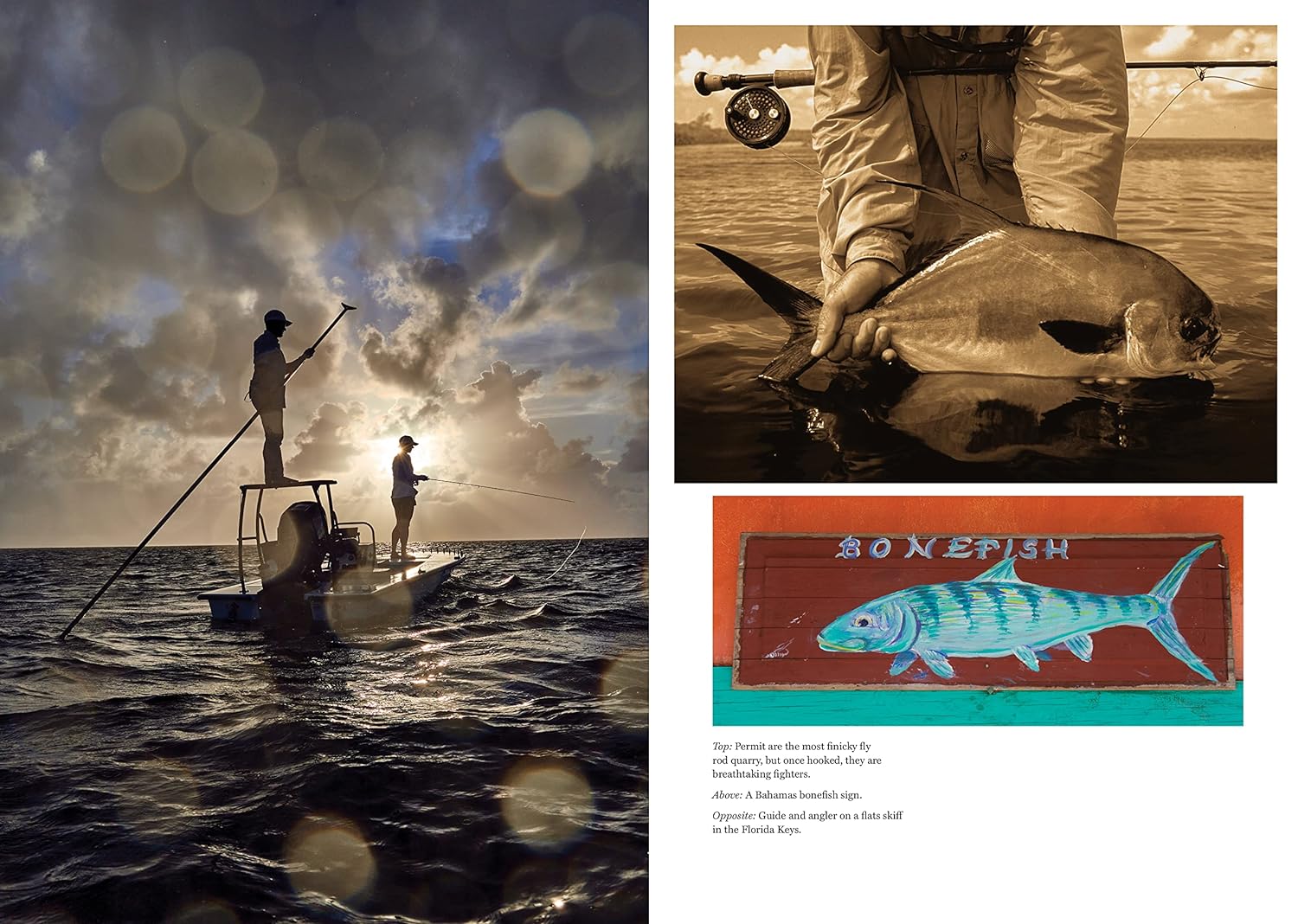 The Catch of a Lifetime: Moments in Flyfishing Glory