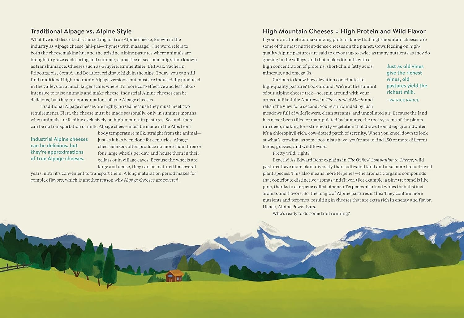 Madame Fromage&#39;s Adventures in Cheese