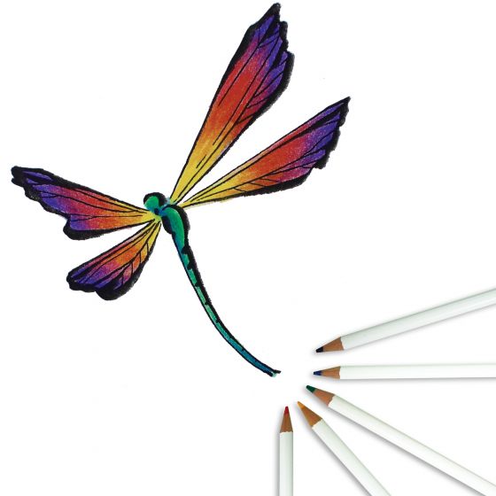 Irojiten Colored Pencil Set - Rainforest