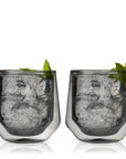 Double Walled Aurora Tumblers