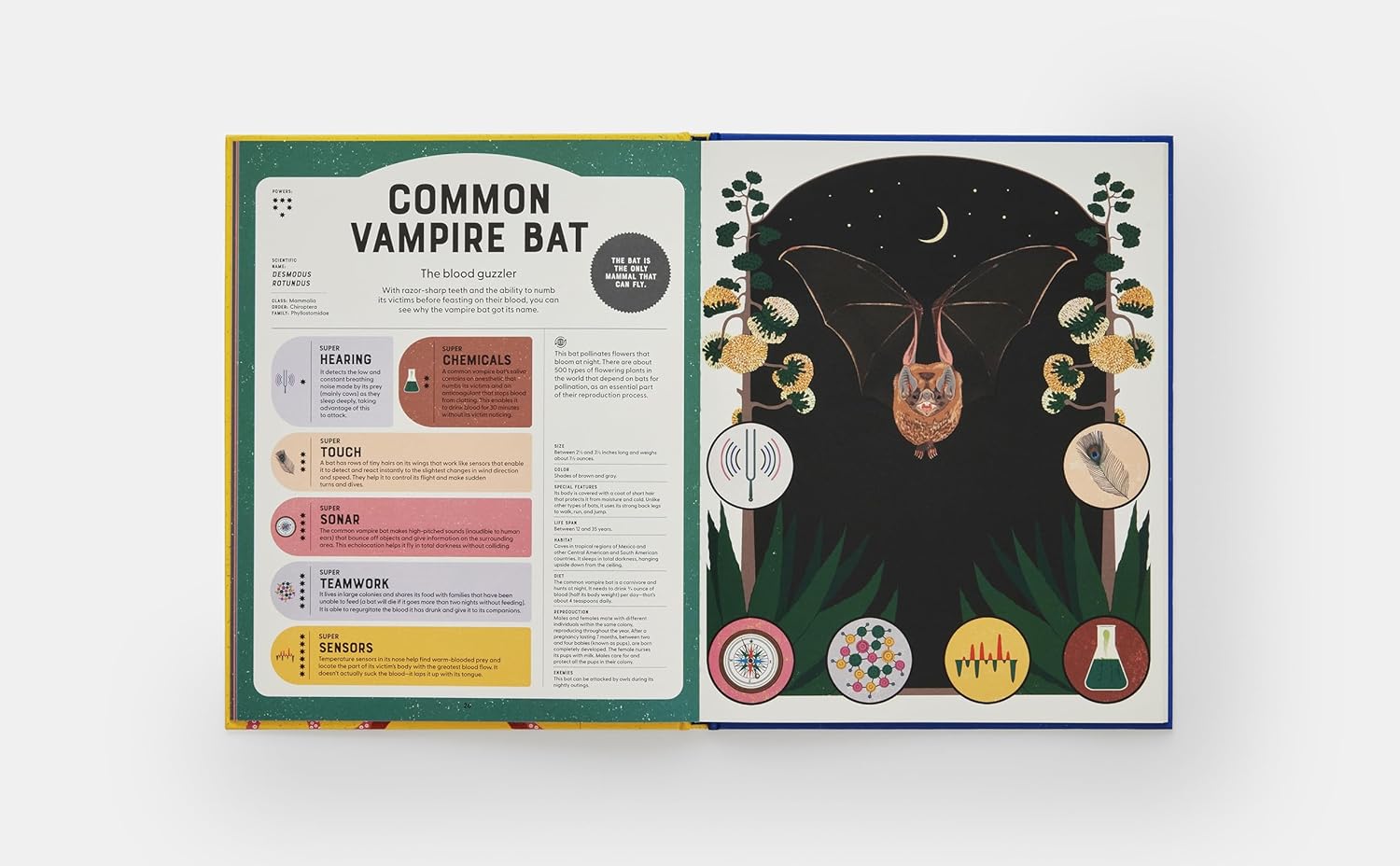 Superpowered Animals