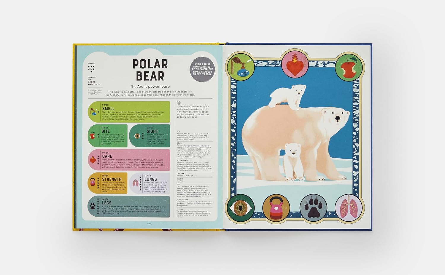 Superpowered Animals