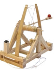 Make A Catapult Kit
