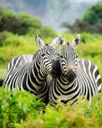 Pictures of Cute Animals