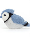 Birdling Blue Jay