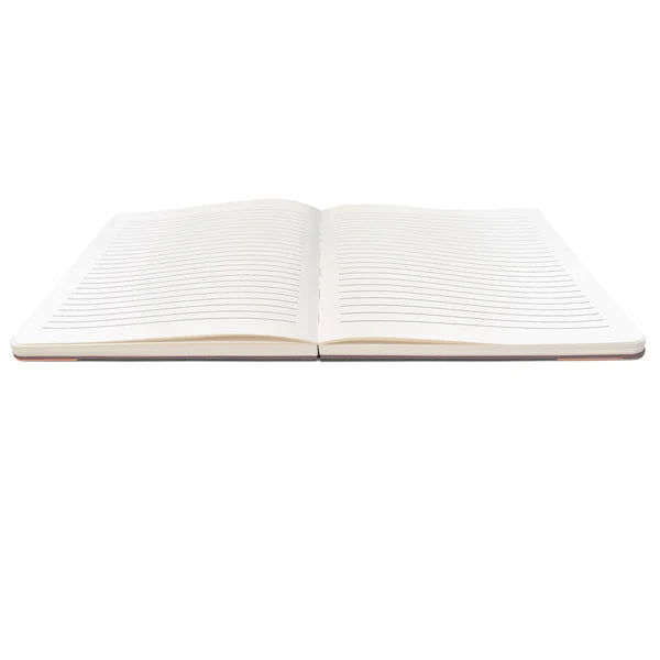 Sun on the Horizon Deconstructed Journal