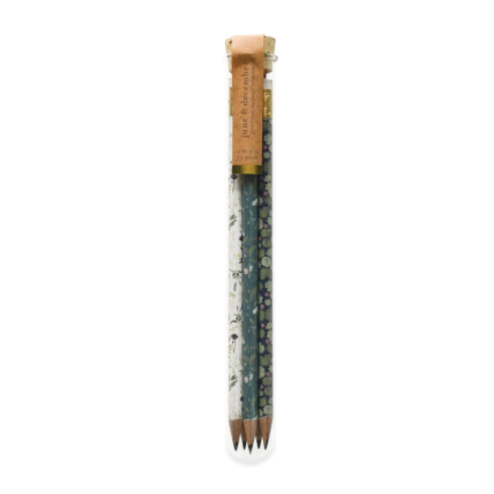 Pencil Terrarium