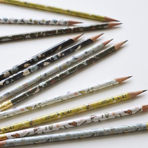 Pencil Terrarium