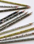 Pencil Terrarium