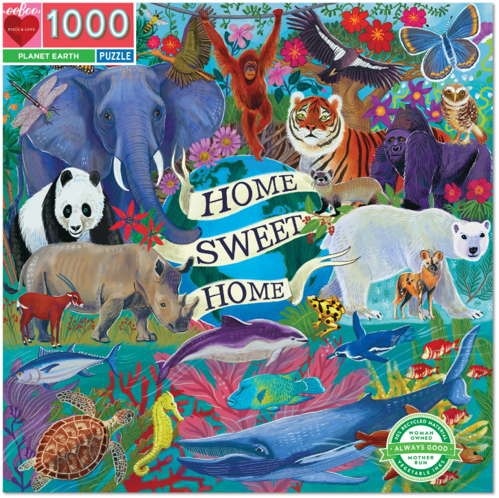 Planet Earth Puzzle