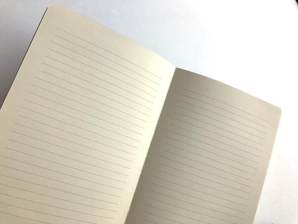 Nap Log Journal