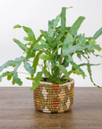 Shades of Sand Dafina Planter