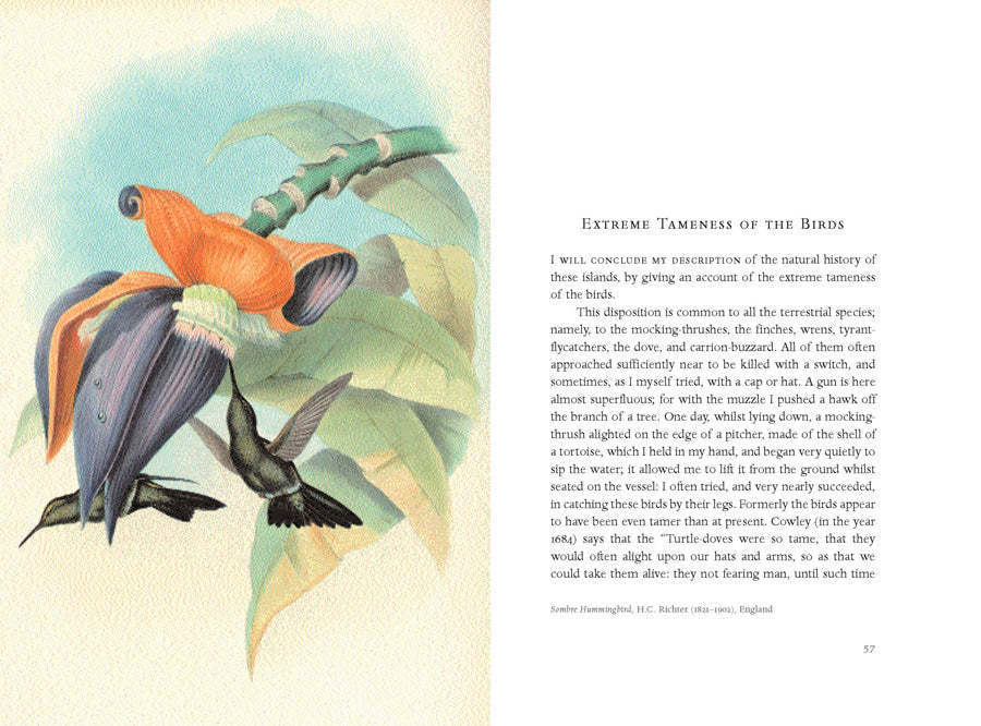 The Bedside Book of Birds