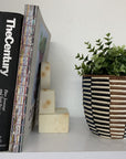 Brown + Black Stripe Planter
