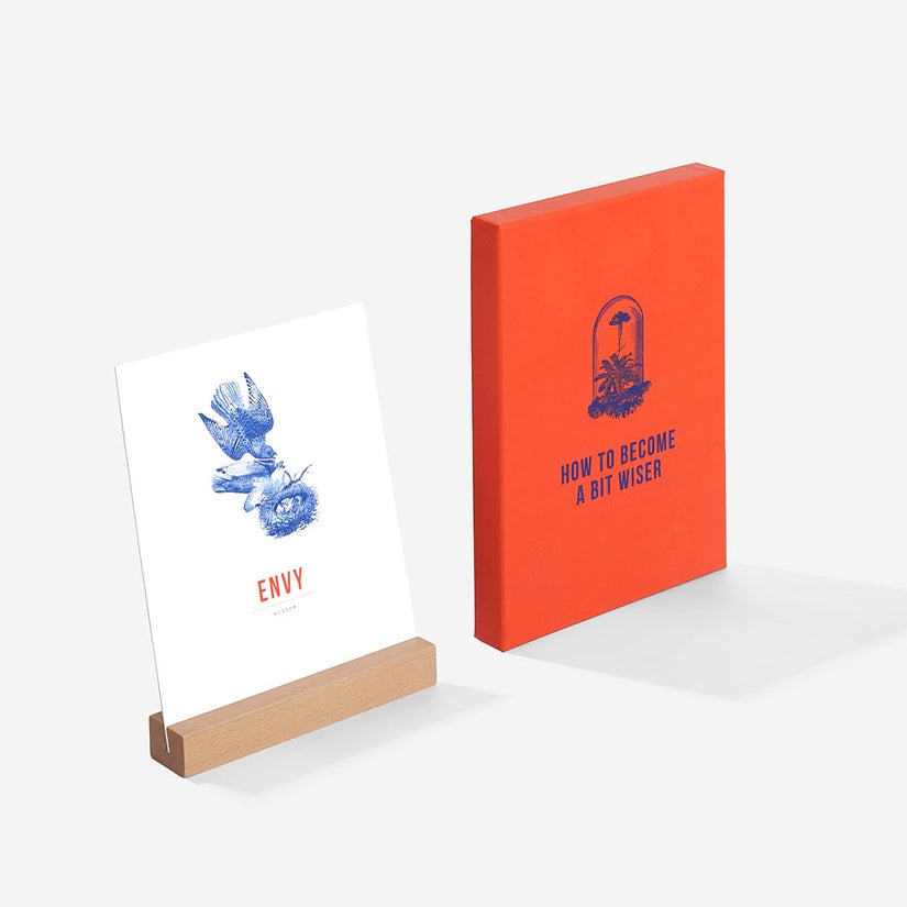 How to Become a Bit Wiser