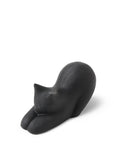 Schrodinger's Eraser