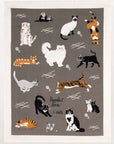People I Love: Cats Dish Towel