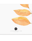 Fall Leaves Little Notes
