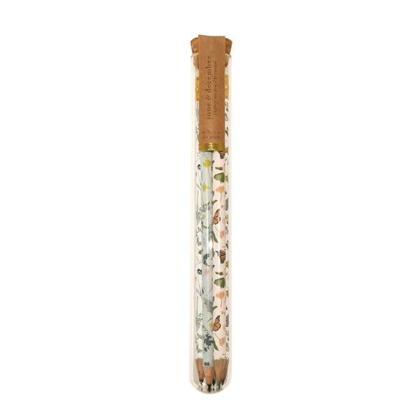 Pencil Terrarium