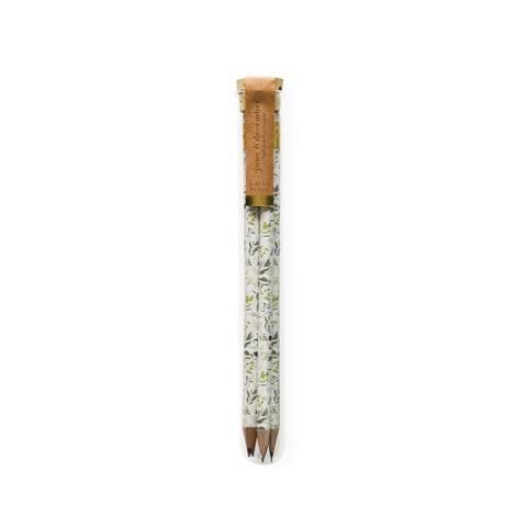 Pencil Terrarium