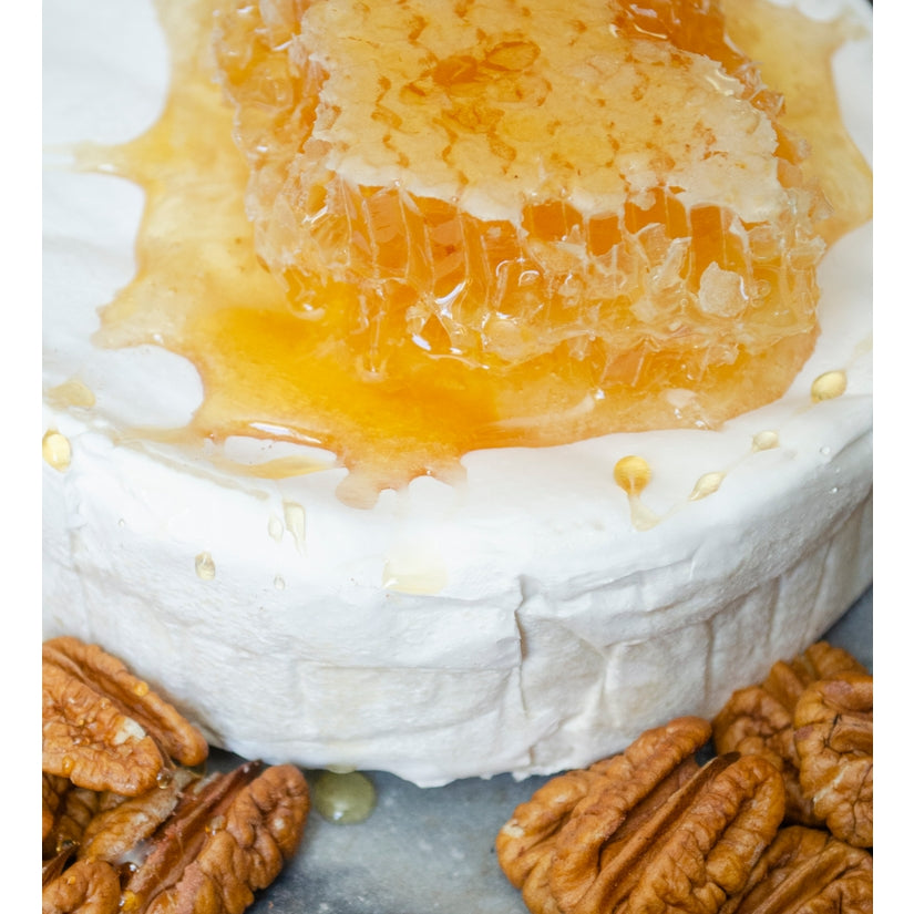 Honeycomb Square 14oz.