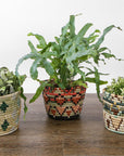 Floret Dafina Planter