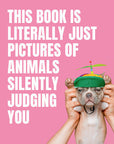 This Book Is Literally Just Pictures of Animals Silently Judging You