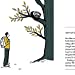 Mindful Thoughts for Walkers