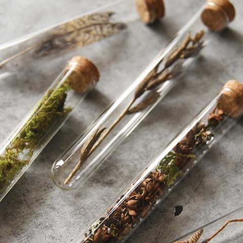 Pencil Terrarium