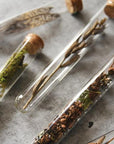 Pencil Terrarium