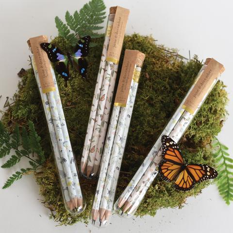 Pencil Terrarium