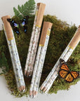 Pencil Terrarium