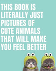 Pictures of Cute Animals