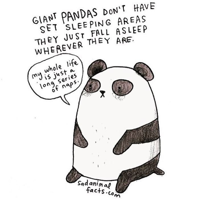 Sad Animal Facts