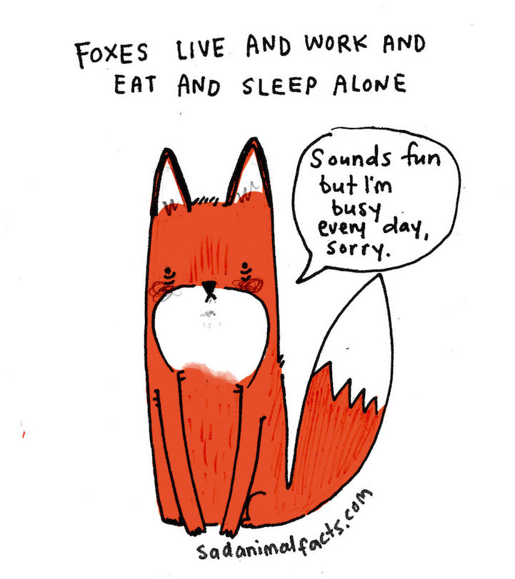 Sad Animal Facts