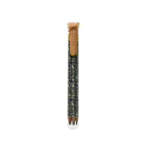 Pencil Terrarium