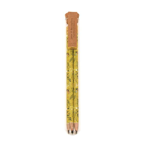 Pencil Terrarium